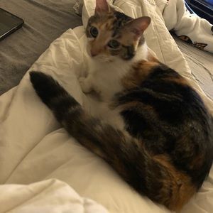 Meet your Posher, Helen